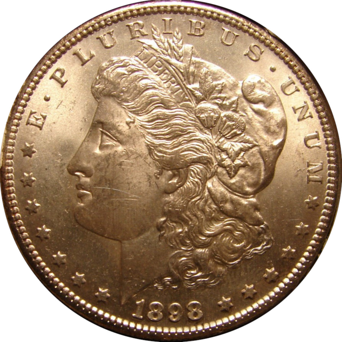 1898-S-$1-Morgan-Dollar-#1